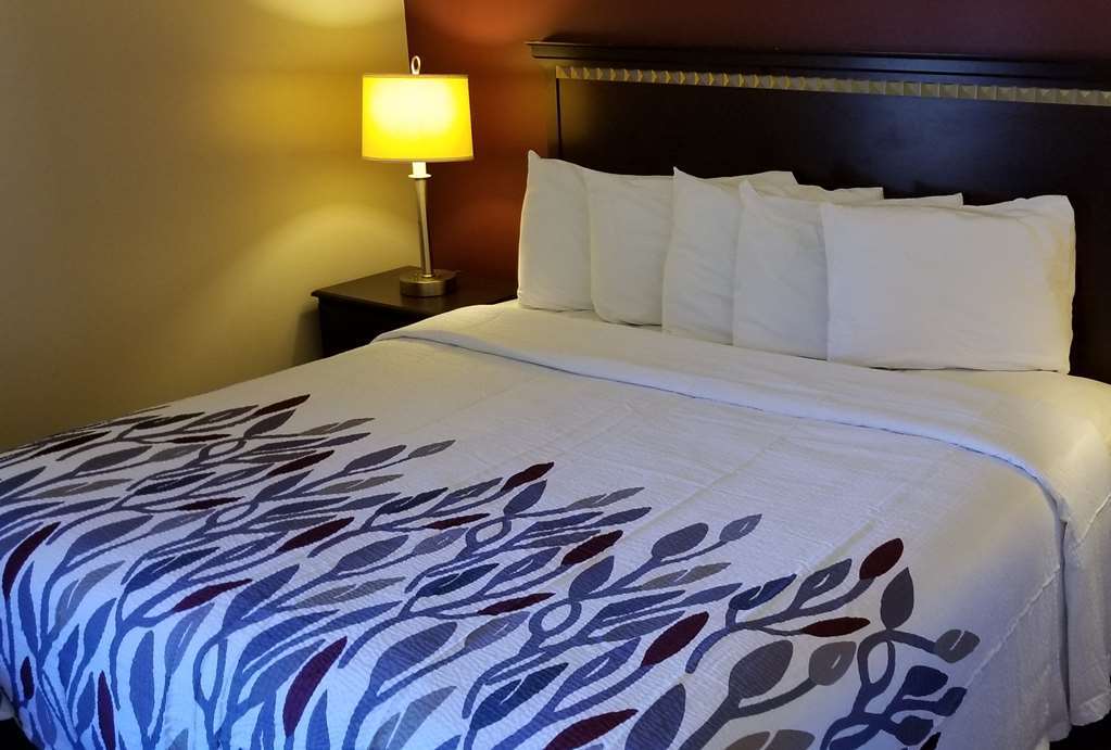 Red Roof Inn & Suites Wilson Bilik gambar